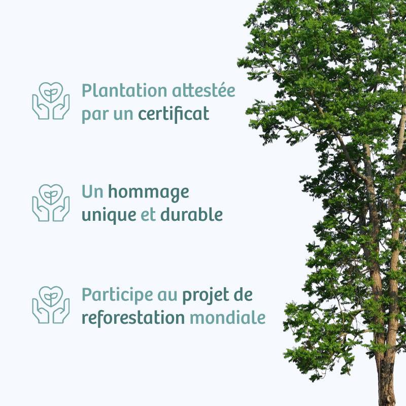 Planter un arbre en hommage à Mr. Jean-François GRÉAU